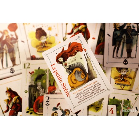 Choisissez votre Princesse Rebelle parmi les cartes magnifiquement illustrées !